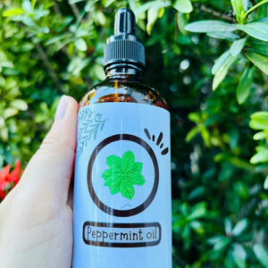 Tinh dầu Bạc hà (Peppermint)