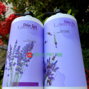 Bộ dầu gội xả tóc Lavender Aquacos