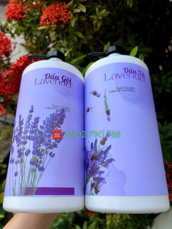 Bộ dầu gội xả tóc Lavender Aquacos