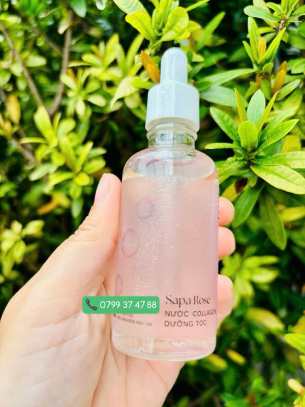 Nước dưỡng tóc Collagen hoa hồng Sapa - Ảnh 2