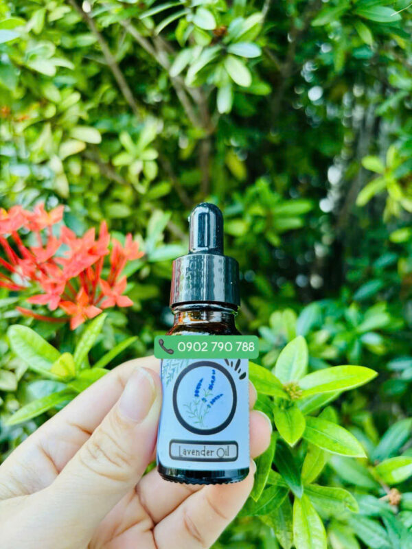 Tinh dầu oải hương (Lavender)