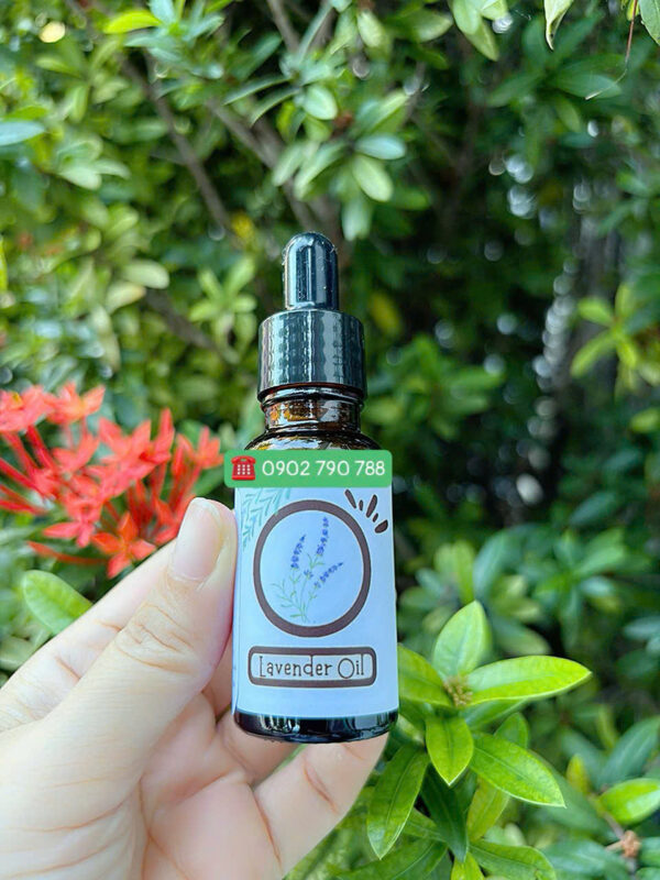 Tinh dầu oải hương (Lavender)