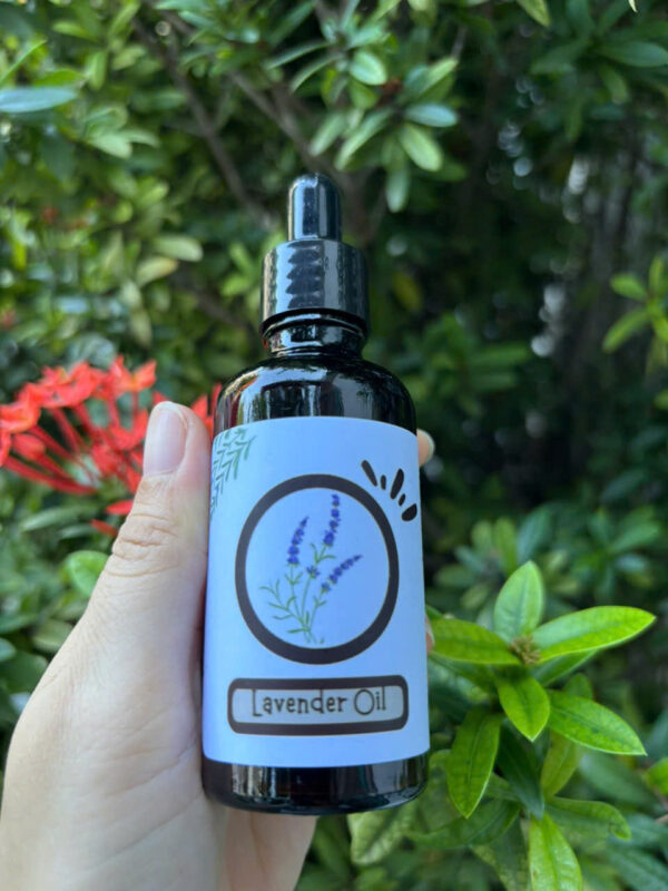 Tinh dầu oải hương (Lavender) - Ảnh 2