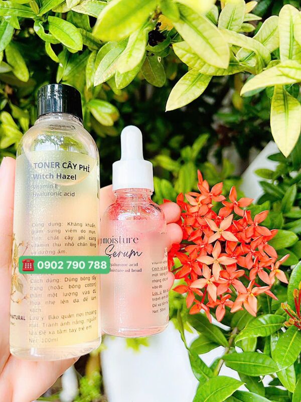 Nước cây phỉ (Hazel toner) - Ảnh 2