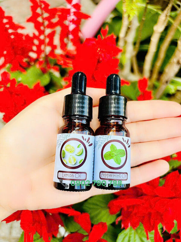 Tinh dầu bạc hà (Peppermint) - Ảnh 2