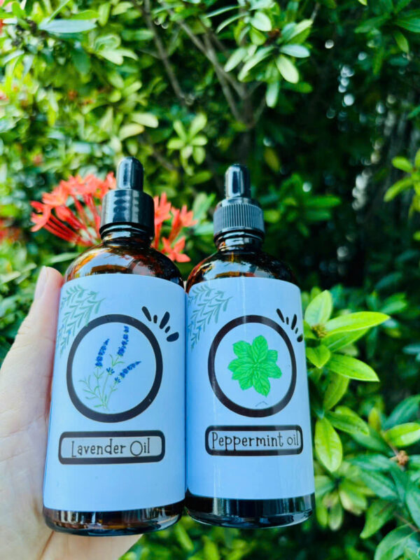 Tinh dầu Bạc hà (Peppermint) - Ảnh 2