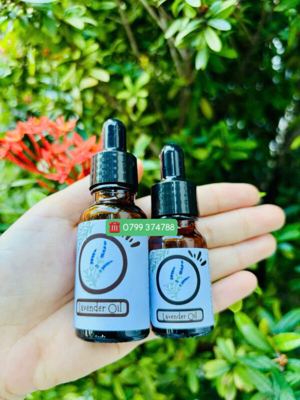 Tinh dầu oải hương (Lavender) - Ảnh 2