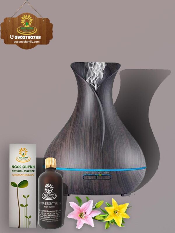 Máy khuếch tán tinh dầu 01