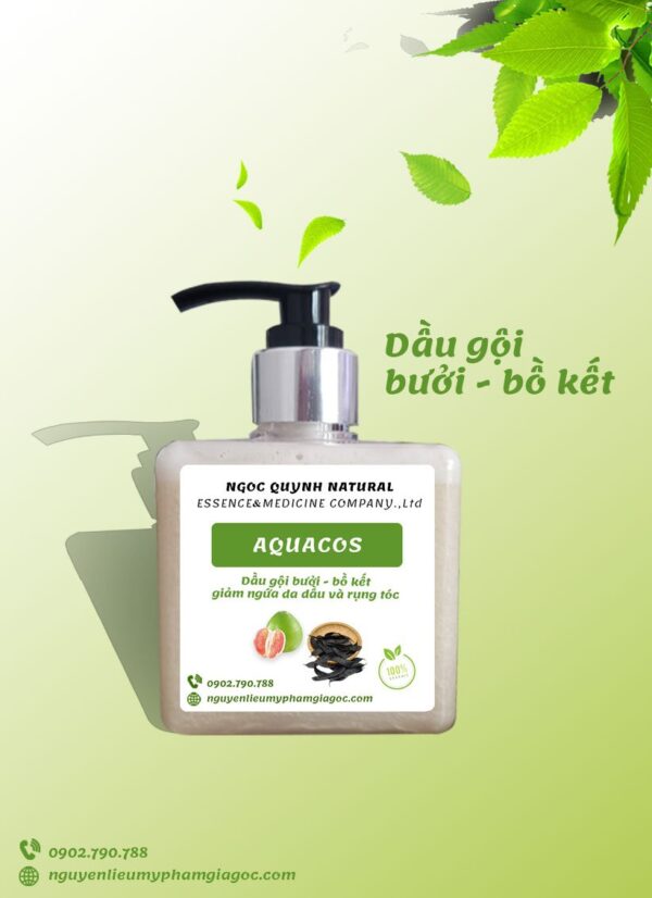 Dầu gội bưởi