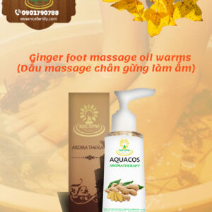 Dầu massage chân gừng