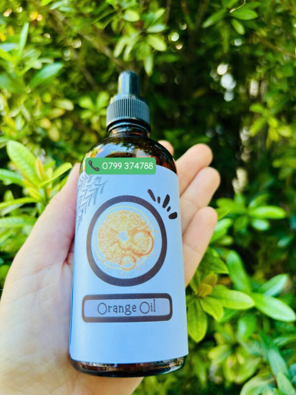 Tinh dầu Cam (Orange) - Ảnh 2