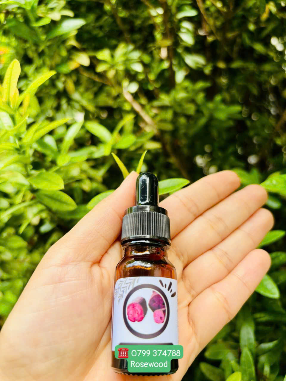 Tinh dầu Gỗ Hồng (Rosewood)