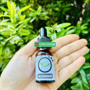 Tinh dầu Trà xanh (Green tea Oil)