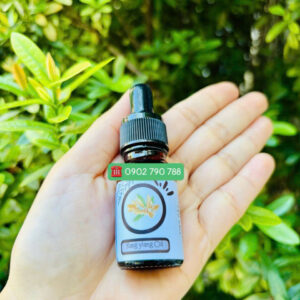 Tinh dầu Ngọc Lan Tây (Ylang ylang)