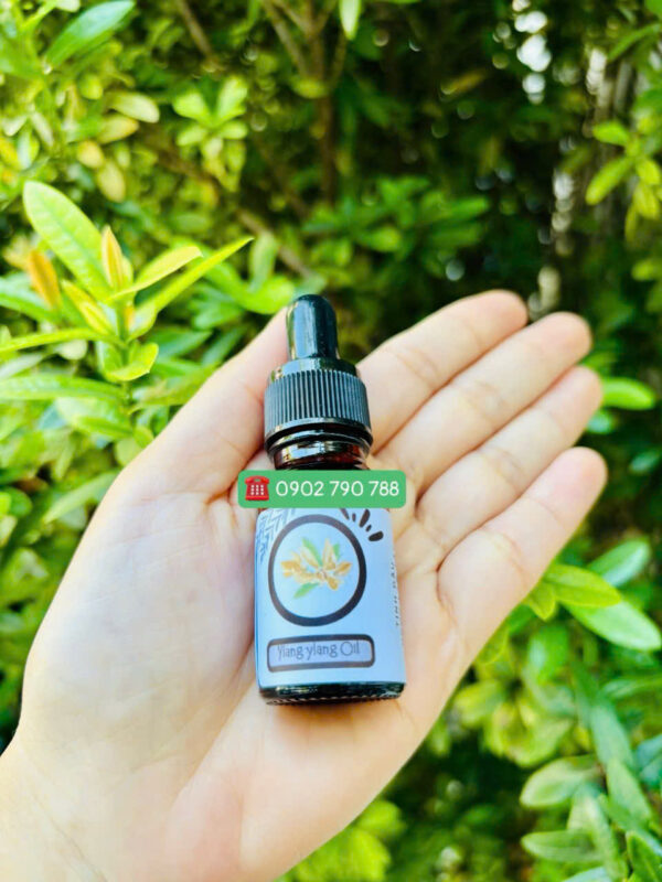 Tinh dầu Ngọc Lan Tây (Ylang ylang)