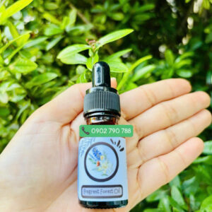 Tinh dầu Fragrant Forest