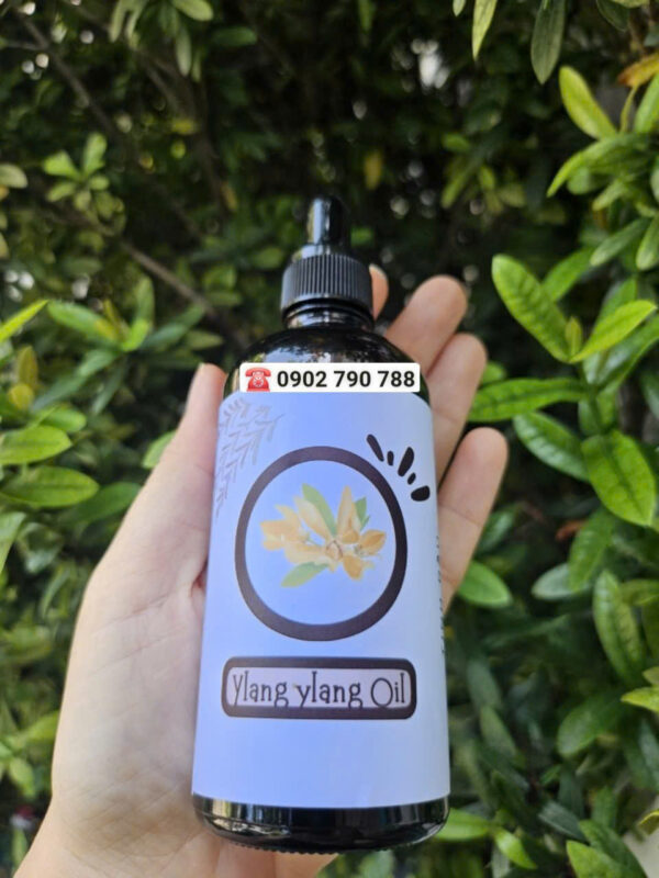 Tinh dầu Ngọc Lan Tây (Ylang Ylang)