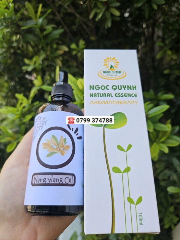 Tinh dầu Ngọc Lan Tây (Ylang Ylang) - Ảnh 2