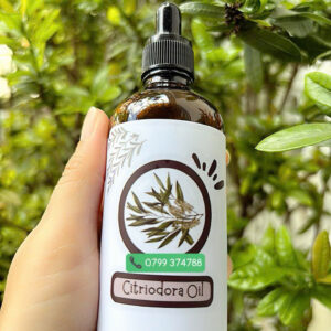 Tinh dầu Bạch Đàn Chanh (Eucalyptus Citriodora Oil)
