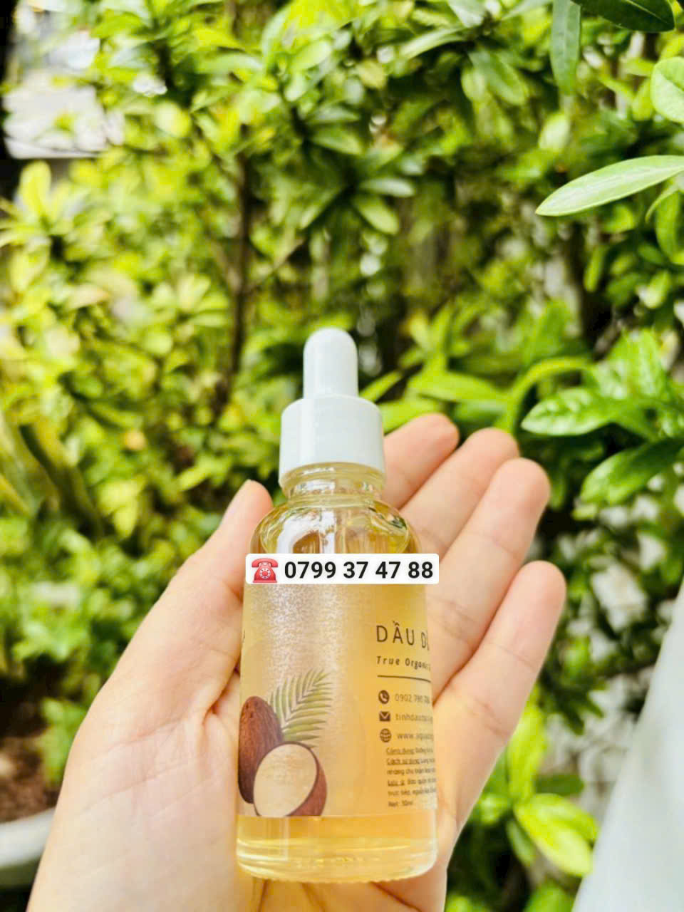 Dầu dừa nấu thủ công (Handmake coconut oil) - Ảnh 2