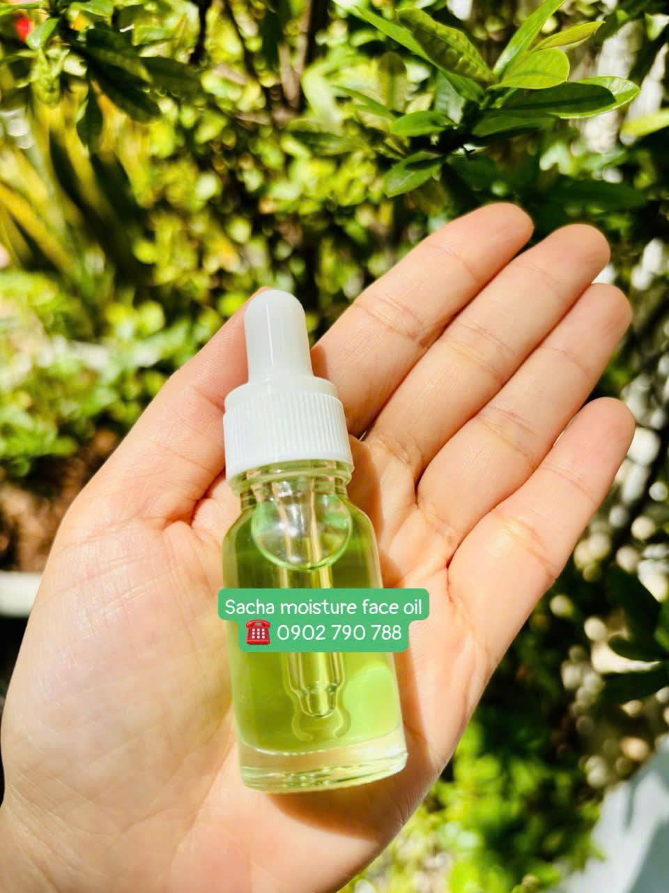 Dầu dưỡng da mặt Sachi Sage - Ảnh 2