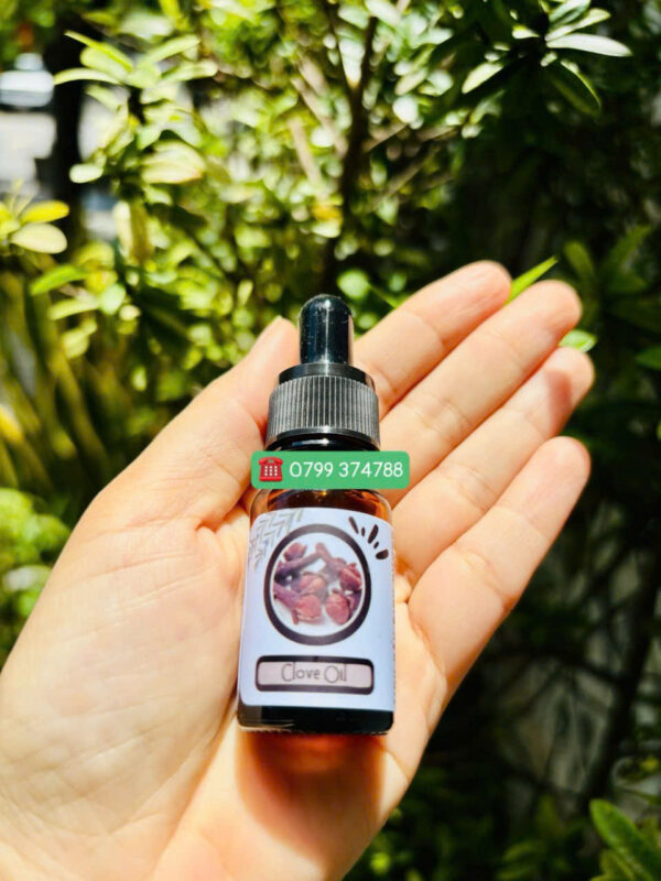 Tinh dầu Đinh hương (Clove Oil)