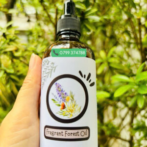 Tinh dầu Fragrant Forest