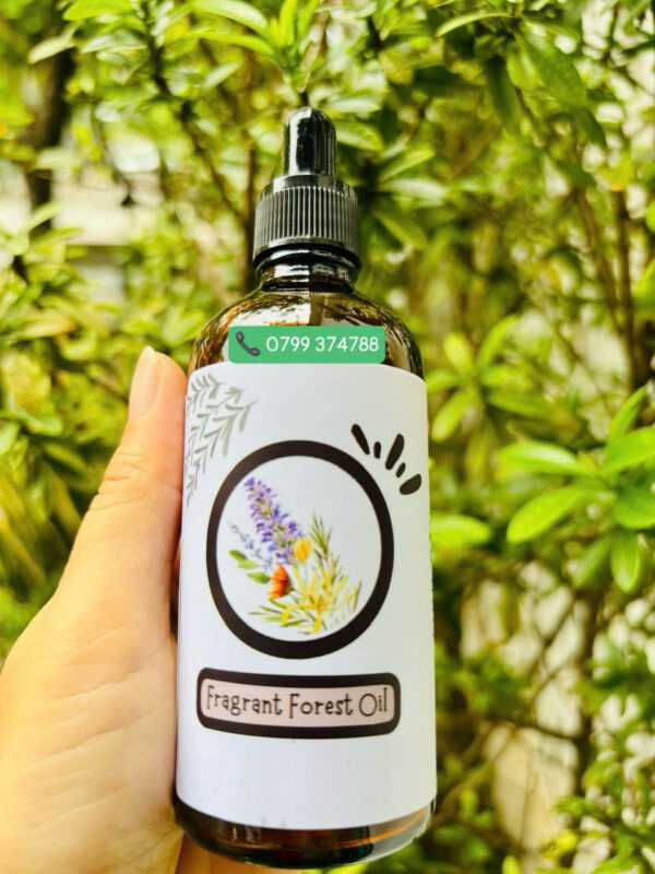 Tinh dầu Fragrant Forest