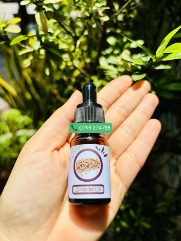 Tinh dầu Hạt ngò - Hạt mùi (Coriander Oil)