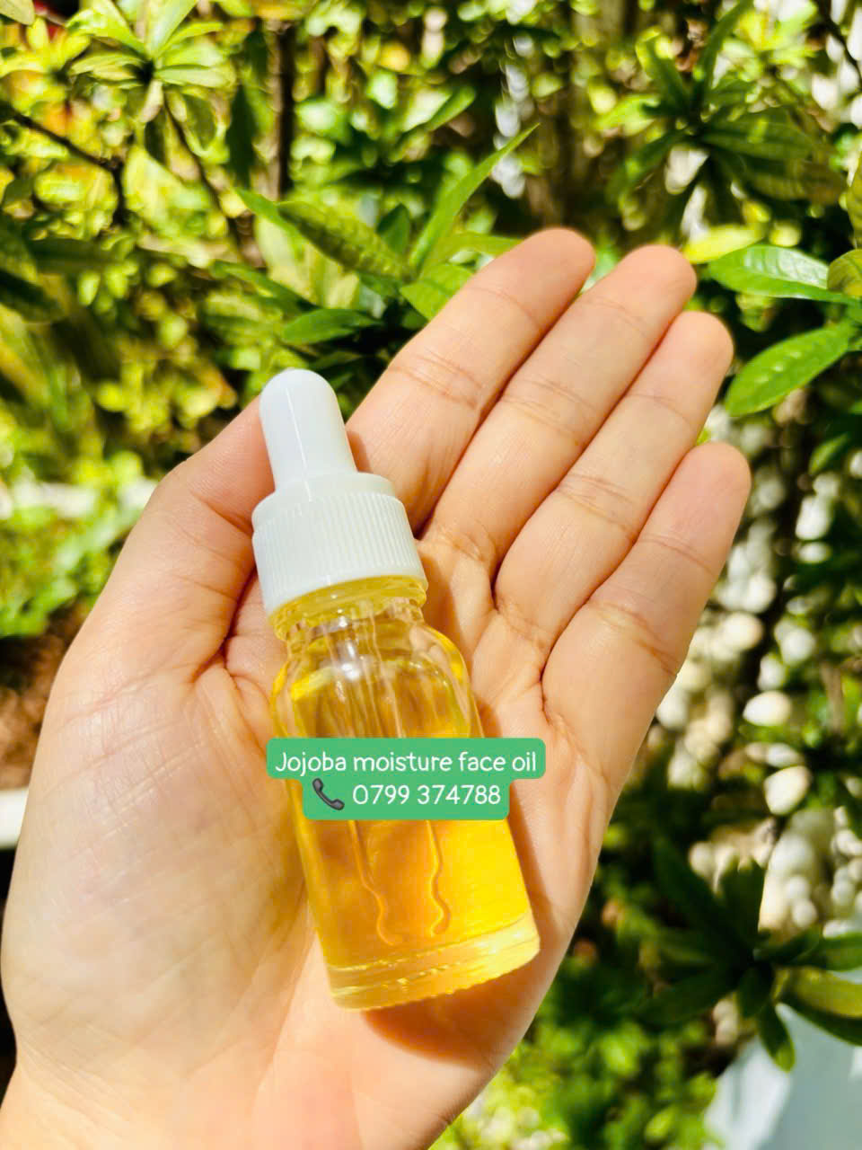 Dầu dưỡng da mặt Jojoba Lavie - Ảnh 2