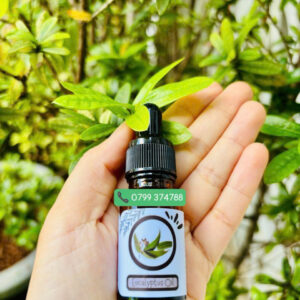 Tinh dầu khuynh diệp (Eucalyptus Oil)