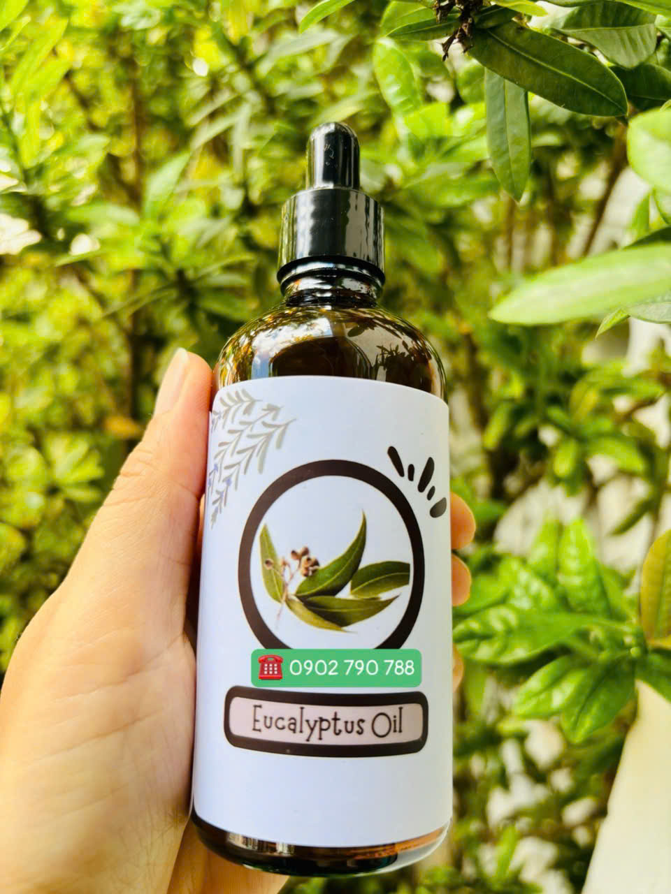 Tinh dầu khuynh diệp (Eucalyptus Oil)