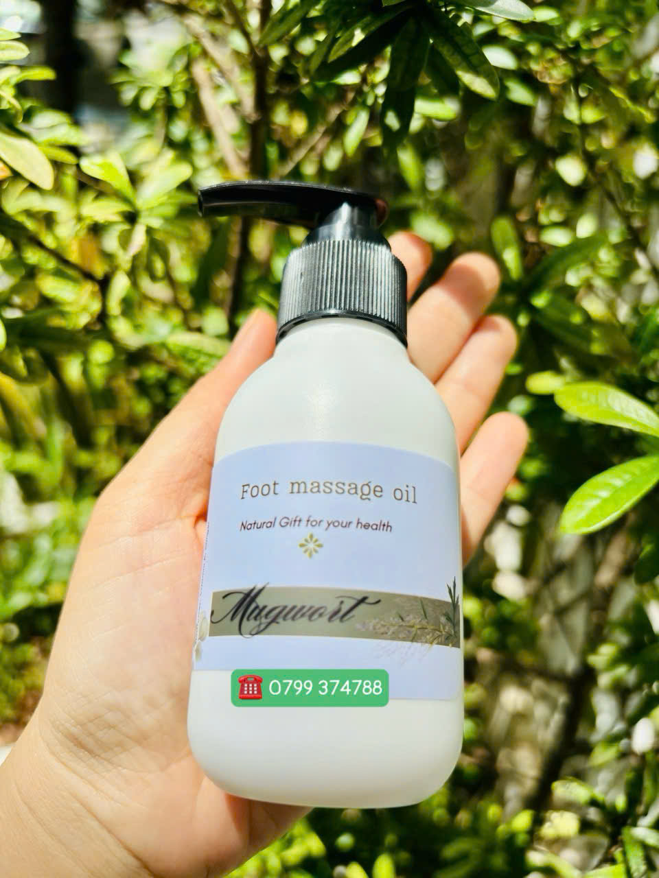 Dầu massage chân ngải cứu