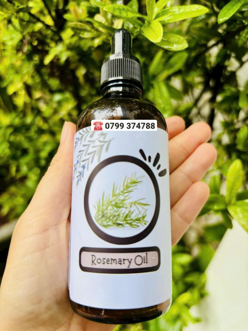 Tinh dầu Hương thảo (Rosemary oil)