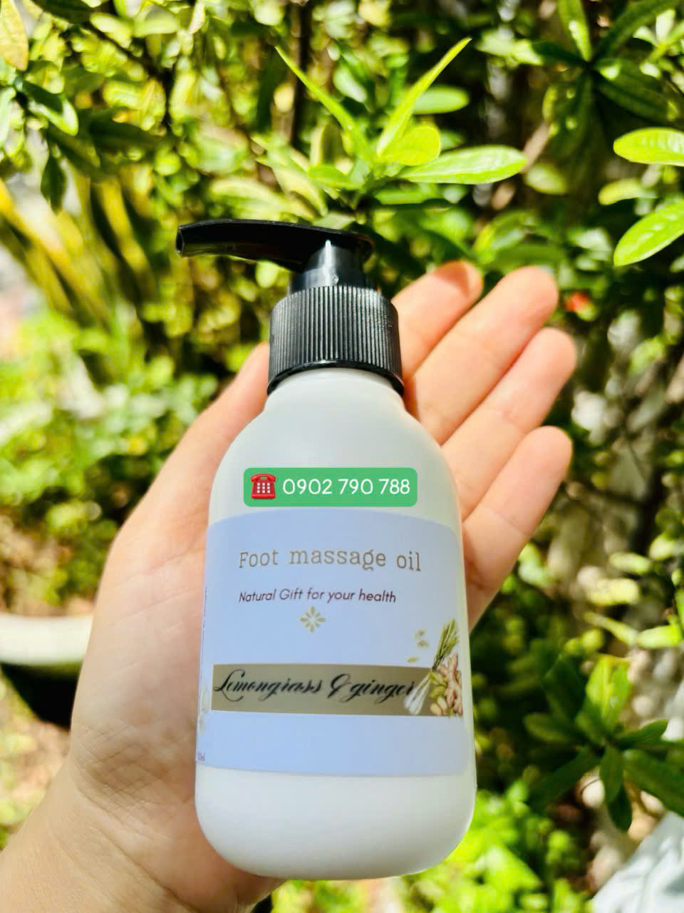 Dầu massage chân sả gừng - Ảnh 2