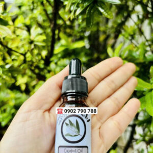 Tinh dầu Tràm (Cajeput oil)