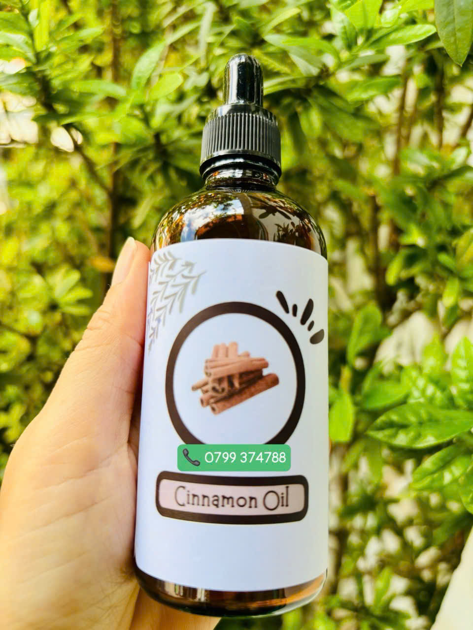 Tinh dầu quế (Cinnamon Oil)