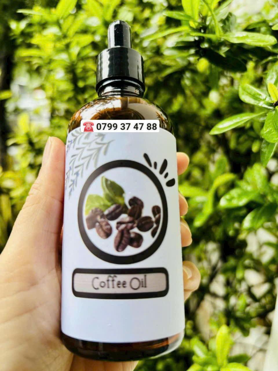 Tinh dầu cà phê (Coffee Oil)