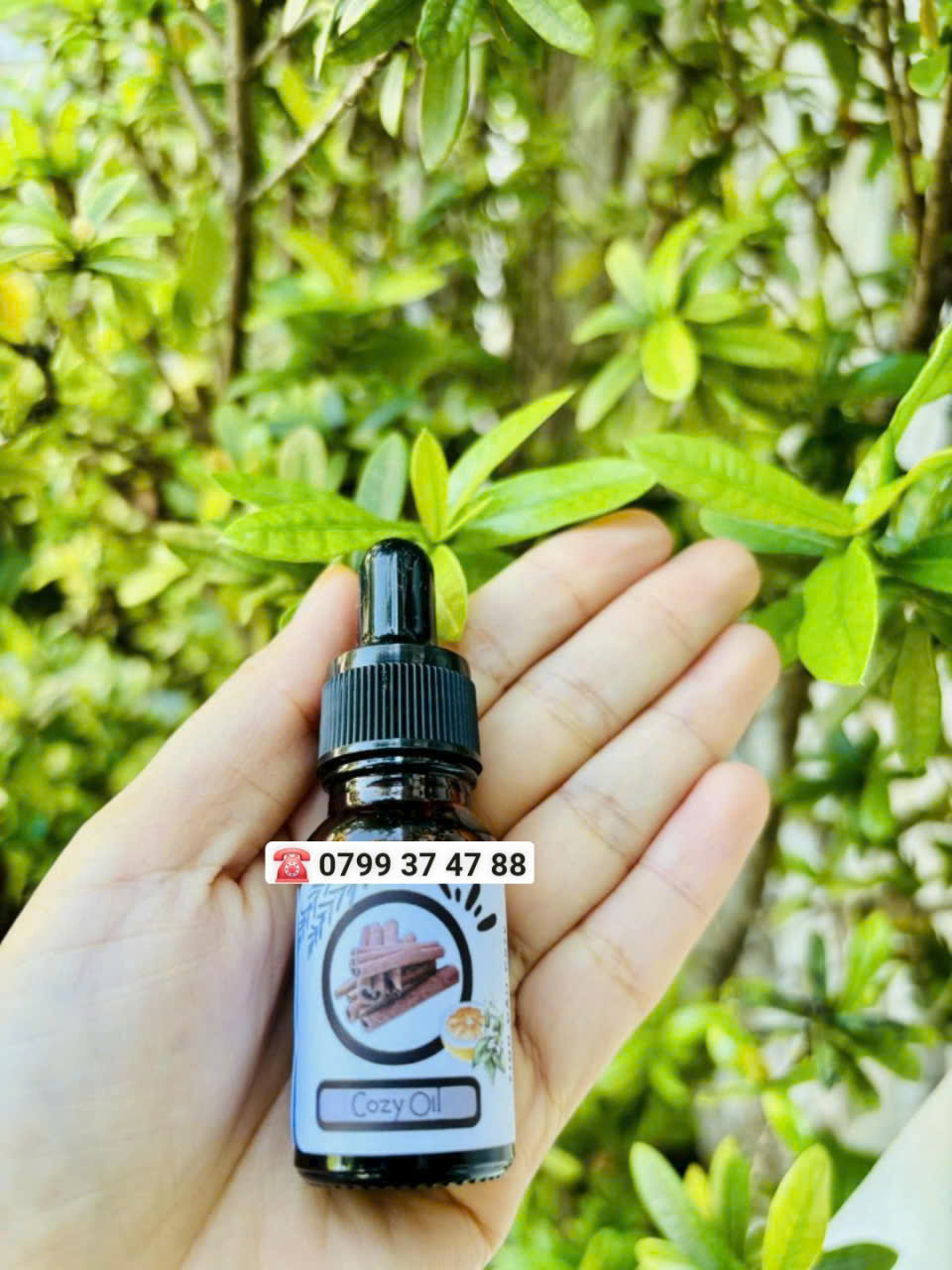 Tinh dầu Cozy (Mixed 2)