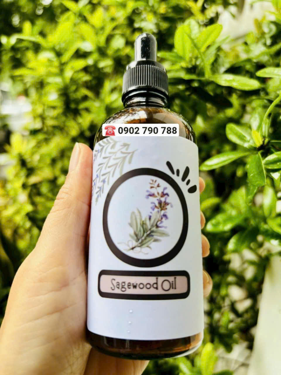 Tinh dầu Gỗ Xô Thơm (Sage wood oil)