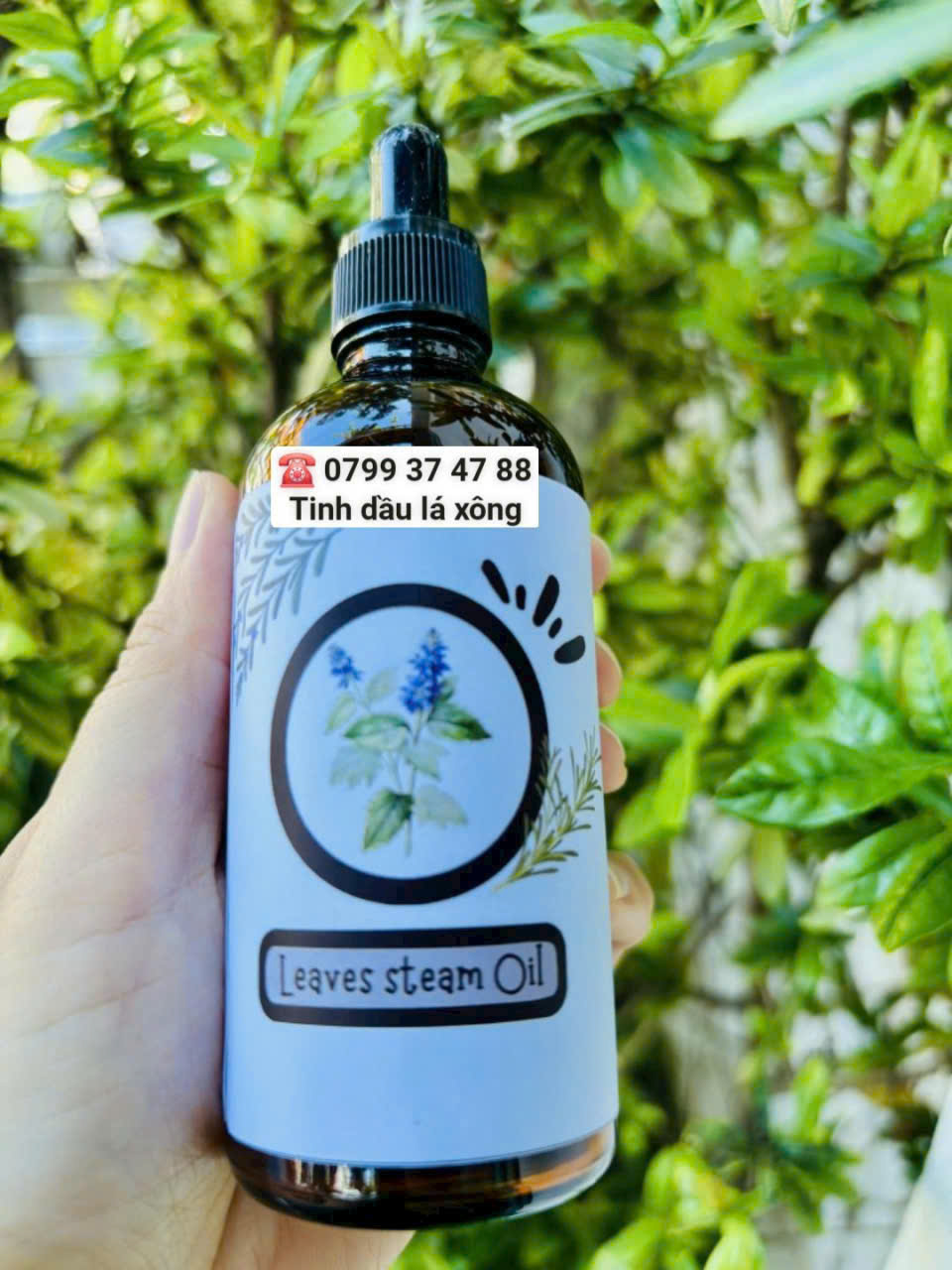 Tinh dầu Lá xông (Leaves steam oil)