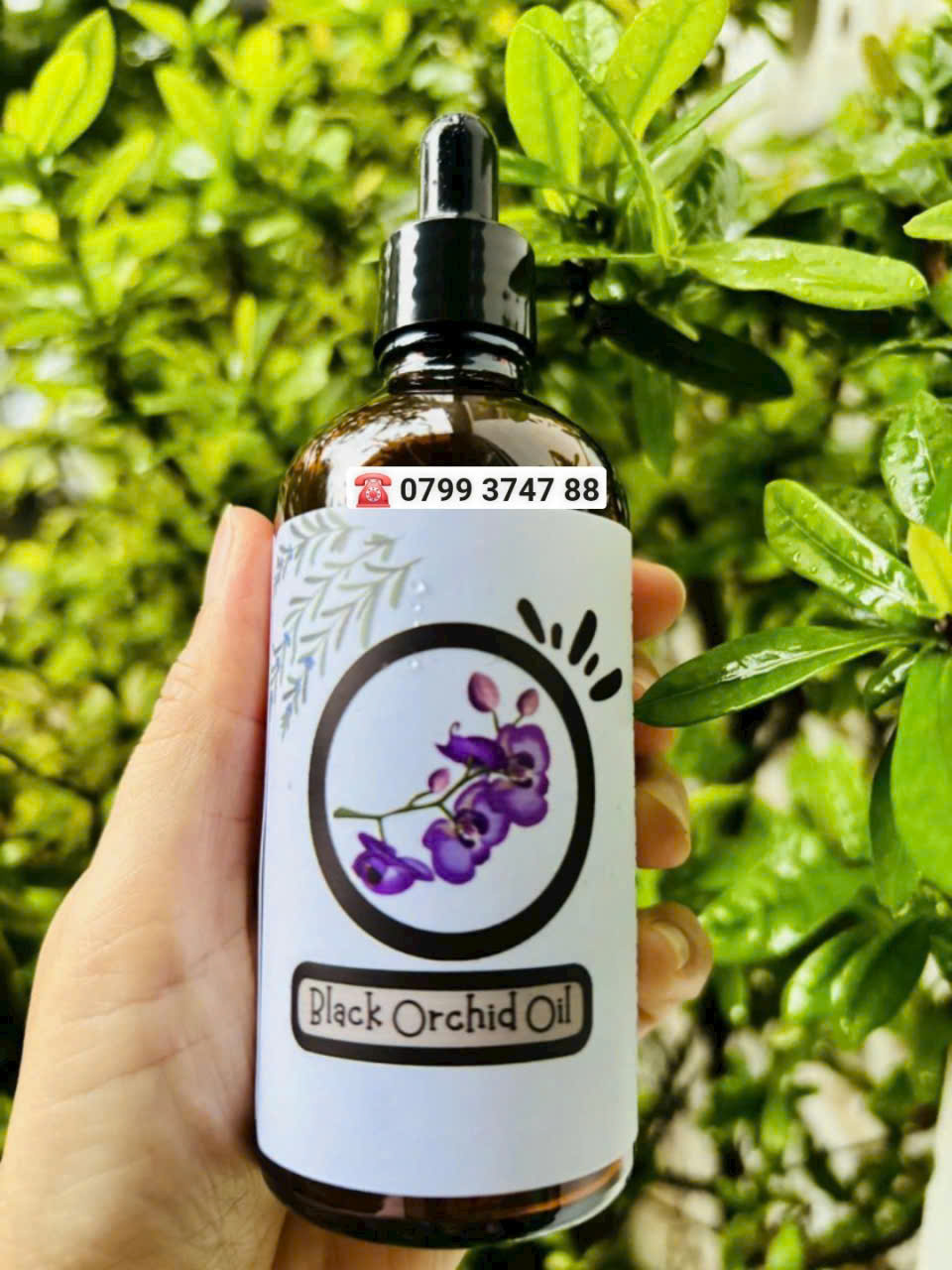 Tinh dầu hoa phong lan (Black Orchid oil)