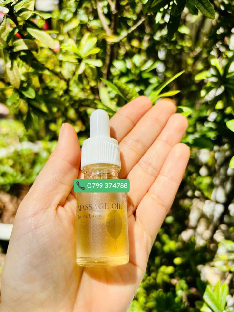 Dầu dưỡng da mặt Jojoba Lavie
