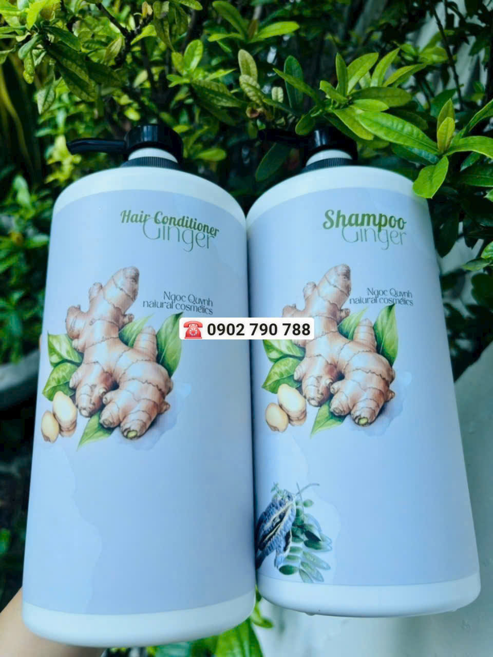 Bộ gội xả Gừng tươi