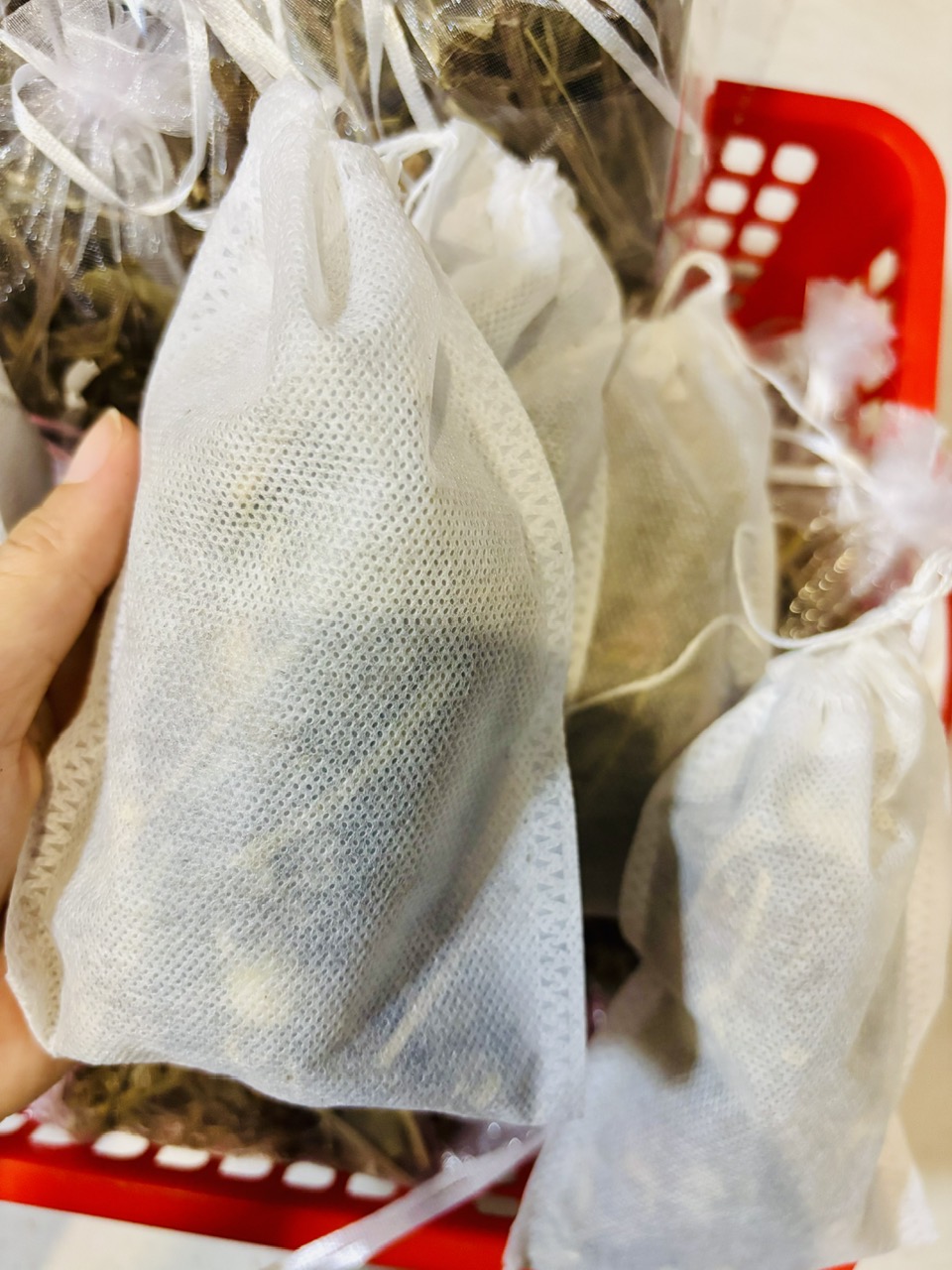 Thảo mộc gội đầu - Ảnh 2