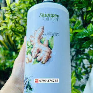 Dầu gội Gừng tươi