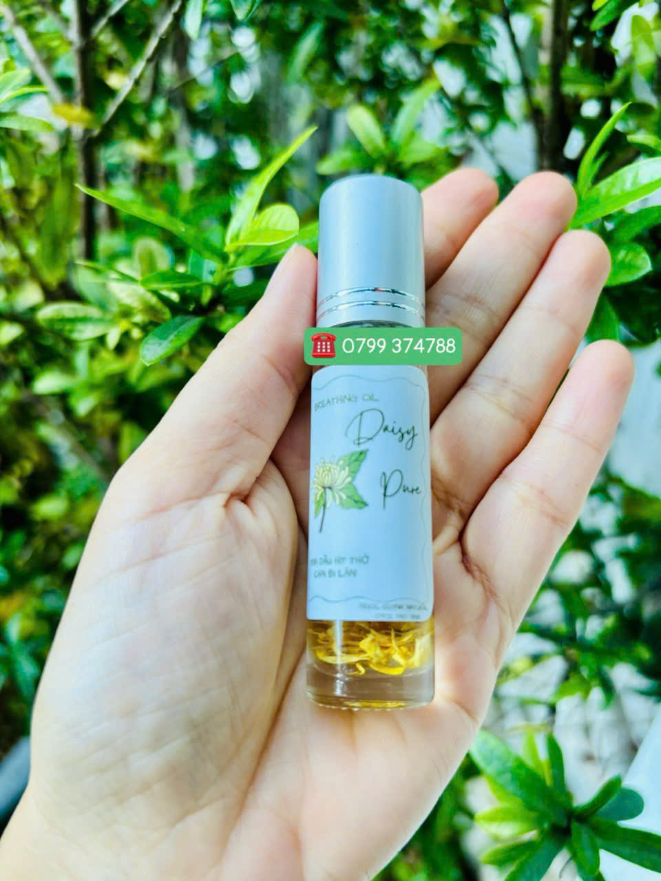 Tinh dầu bi lăn Daisy Pure