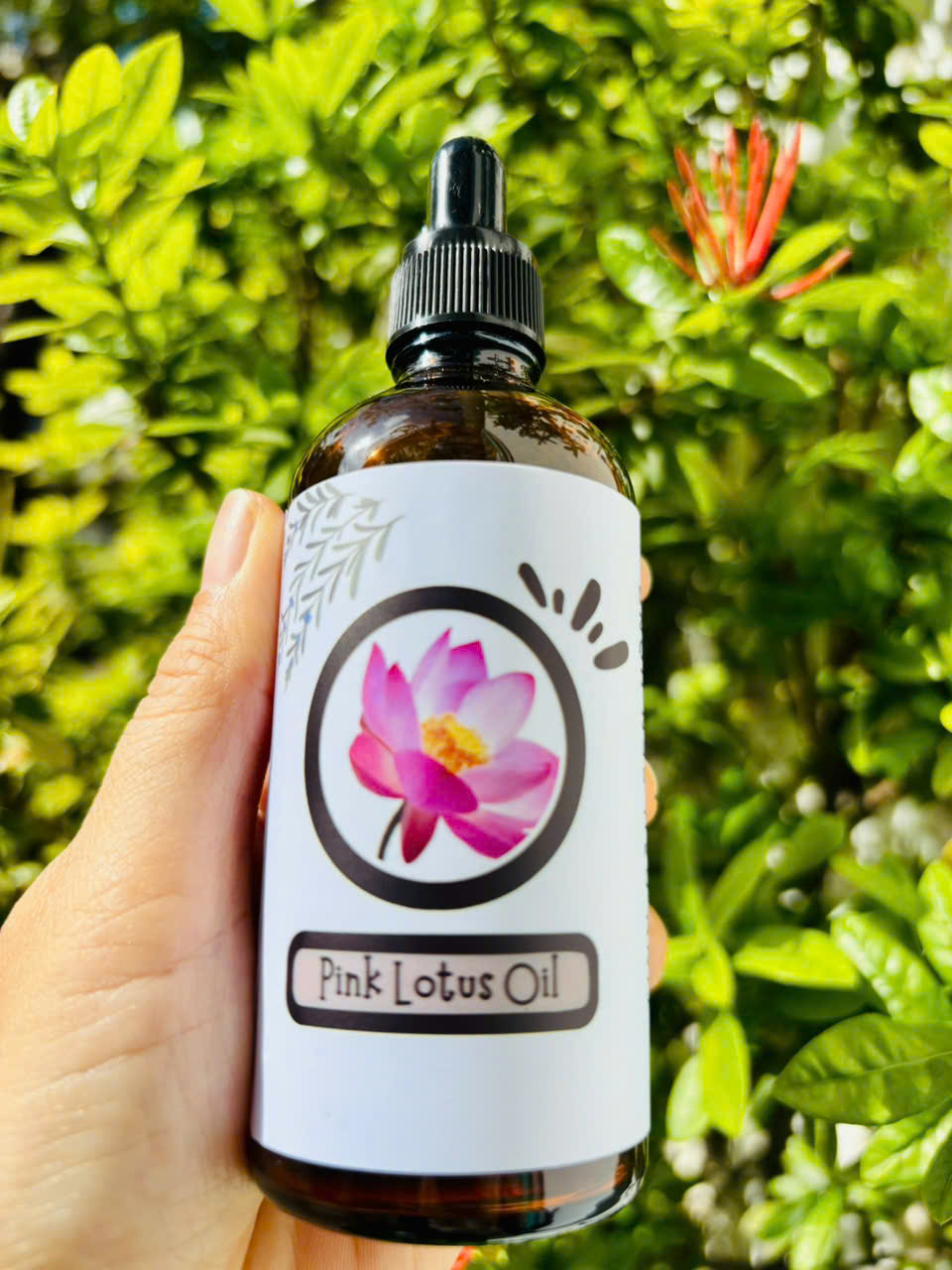 Tinh dầu Hoa Sen (Lotus oil)