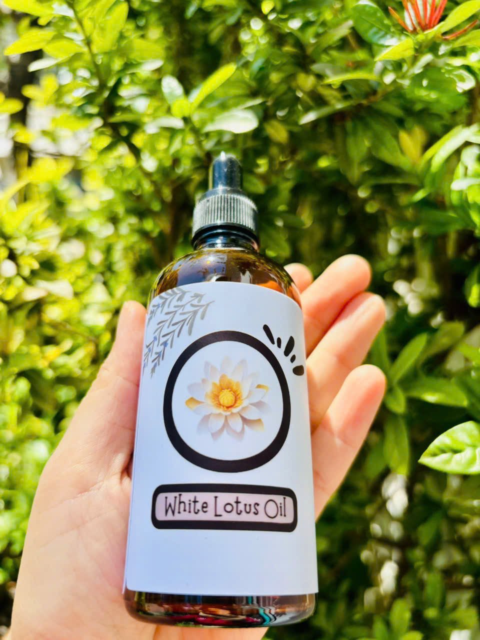 Tinh dầu Hoa Sen Trắng (White Lotus Oil)
