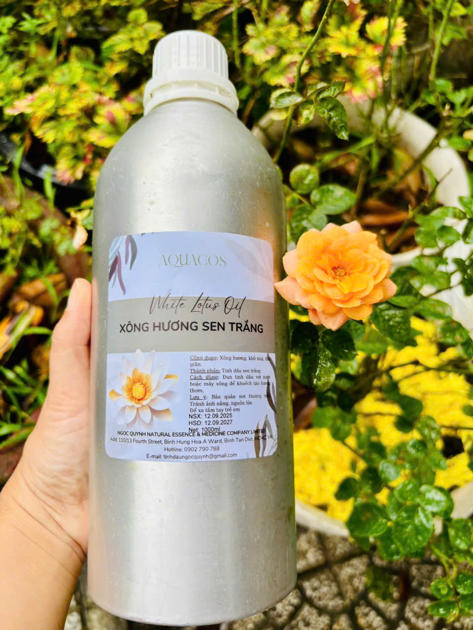 Tinh dầu Hoa Sen Trắng (White Lotus Oil)